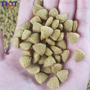 Nhà Máy Giá Pet Dog Cat thức ăn thức ăn pellet làm đùn đùn đơn/đôi vít đùn Dog Pet Máy chế biến thực phẩm - Product Image 6