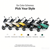 SCOOX X7 MAX80 Dual Lithium Battery Intelligent Long-Lasting Battery Electric Motorcycle