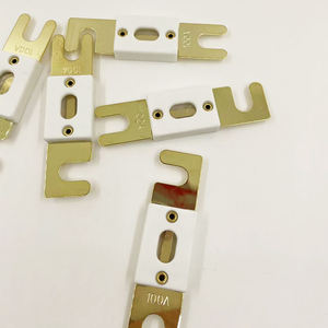 Fusibile Auto Auto <span class=keywords><strong>ANL</strong></span> fusibile 50A 60A 70A 80A 100A 125A 150A 160A 175A 200A 250A 300A 350A 500A 600A 32V 48V 72V <span class=keywords><strong>ANL</strong></span> fusibile Auto - Product Image 6