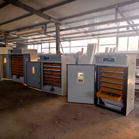 Incubateur à œufs de volaille haute performance, machine automatique d'éclosion des œufs