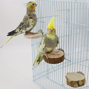 Talk-Satisfied 8mm Love <strong>Bird</strong> Stocked Foot <strong>Ring</strong> Flying Training Pigeon <strong>Leg</strong> <strong>Rings</strong> Eco-Friendly All Seasons - Product Image 2