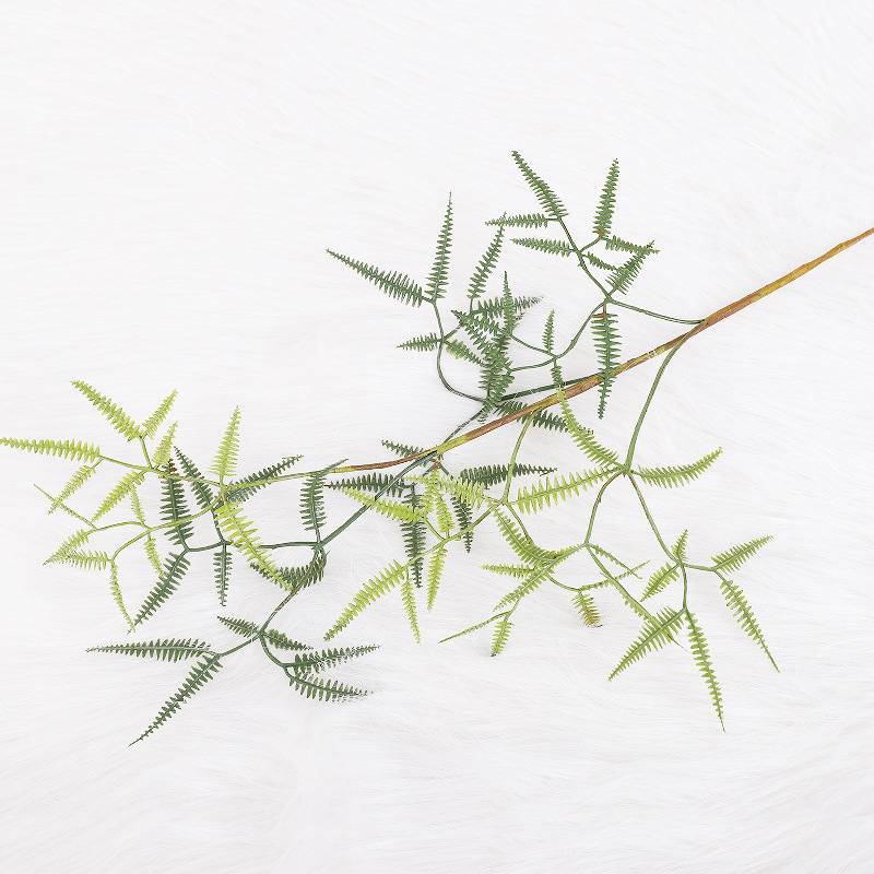 958 Small Single Branch of Miscanthus Leaf