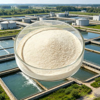 Poudre de probiotiques en vrac de Lactobacillus Rhamnosus de qualité alimentaire blanche, 10 milliards d'UFC/g