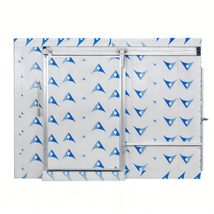 Cámara Frigorífica de Baja Temperatura <span class=keywords><strong>para</strong></span> <span class=keywords><strong>Frutas</strong></span> <span class=keywords><strong>y</strong></span> <span class=keywords><strong>Verduras</strong></span>, Congelador Rápido <span class=keywords><strong>para</strong></span> Pollo <span class=keywords><strong>y</strong></span> Carne, Cuarto Frío - Product Image 1