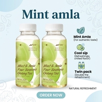 Thé Oolong Quatre Saisons Menthe & Amla Nihewan 240ml – Grossiste en Thé, Boisson Personnalisée OEM ODM, Formule sur Mesure
