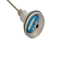 Capteur de résistance thermique PT100 étanche IP65, sonde filetée G1/2, transmetteur de température RTD pour pipeline, four, chaudière