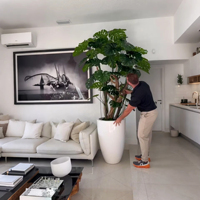 Disesuaikan ukuran kualitas tinggi raksasa buatan Monstera dedaunan Bonsai pohon dalam Pot vas tanaman untuk dekorasi rumah desain Interior