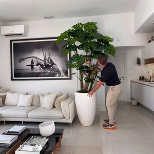 Tamaño personalizable de alta calidad gigante Artificial Monstera follaje bonsái árbol en maceta jarrón maceta para decoración del hogar diseño de interiores - Product Image 2