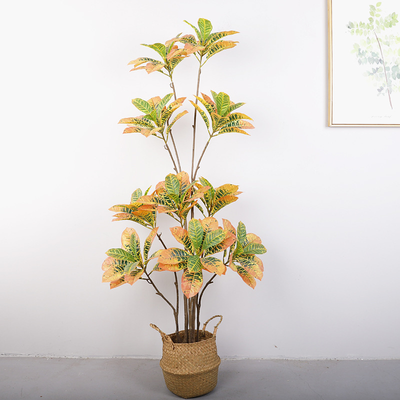 Banyan doré (jaune) de 1,6 mètre de haut, à 10 têtes et 5 troncs.