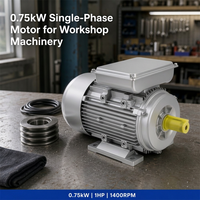 Moteur asynchrone monophasé 0,75 kW 1 CV 1400 tr/min 220 V 50 Hz avec boîtier en aluminium pour machines d'atelier
