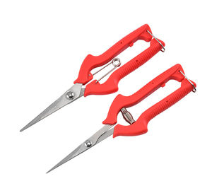 Accessori agricoli manico in plastica taglio da giardino affilato <span class=keywords><strong>potatura</strong></span> <span class=keywords><strong>di</strong></span> alberi da frutto cesoie da 20 cm potatore per innesto da giardino - Product Image 4