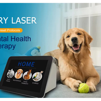 Laser diode vétérinaire chirurgical YUWEI VT101 pour la cicatrisation des plaies chez les animaux, 980 nm, 15 W/30 W, machine de thérapie par découpe des tissus mous, certifié CE