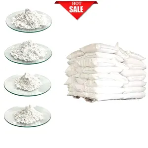 Wholesale Natural Heavy Calcium Carbonate Powder For Civil Construction And Building material 600 Mesh 800 Mesh 1000 Mesh