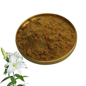 Extrait de lys blanc de Candidum de <span class=keywords><strong>Lilium</strong></span> naturel Polysaccharide de qualité alimentaire Poudre de matière première Extrait d'ampoule de lys - Product Image 1