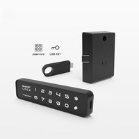 Serrure d'armoire intelligente Tiroir à mot de passe numérique Casier de meubles Intelligent Cerradura Inteligente Clé USB pour armoires