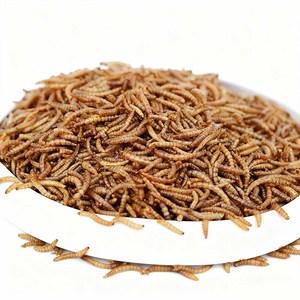 Mealworm Vàng mealworm protein cao chim rùa hamster đặc biệt Snack sâu khô thức ăn chim bồ câu thực phẩm - Product Image 2