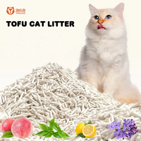 Litière pour chat en fibre de pois 2026, très absorbante, agglomérante rapide, naturelle, à absorption instantanée, faible dispersion, sans poussière, forte absorption