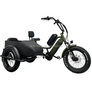 Lantu Ebike Sidecar 20 pouces 750w double batterie vélo de route familial à trois roues tricycle électrique rétro
