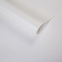 Papier peint moderne minimaliste gris fantôme, non tissé, résistant à l'humidité, insonorisant, pour salon, boutique de vêtements, salon de coiffure