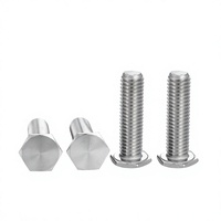 Vis à tête hexagonale extra basse en acier inoxydable ZRSCBT, vis à tête cylindrique à profil bas, M4 M5 M6 M8, directement de l'usine