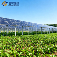Système de montage solaire agrivoltaïque, support solaire au sol pour projets agricoles photovoltaïques