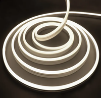 Bande lumineuse néon flexible RGB contrôlée par la musique intelligente DC12V/DC24V LED multicolore pour paysage IP67 corps en gel de silice