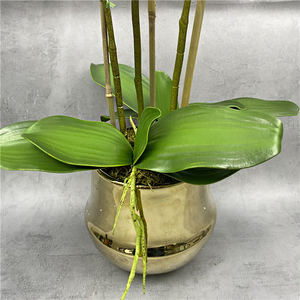 Pot de fleur orchidée dorée personnalisée, fleur artificielle orchidée en pot, tactile réel, fleur de décoration, pièces - Product Image 5