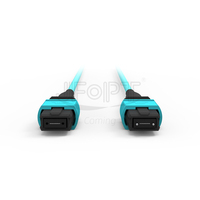 JFOPT MPO 12 kabel bagasi serat OM3 multifode LSZH/PVC 40G 100G QSFP + optik paralel kehilangan rendah untuk pusat Data jaringan Cloud