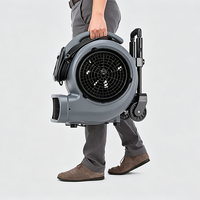 Séchoir à tapis AB 45 Classic Karcher, séchoir à tapis haute performance, compact, faible bruit, ventilateur d'air pour un séchage rapide