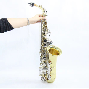 <span class=keywords><strong>Saxophone</strong></span> élégant de haute qualité et abordable imitant une marque célèbre <span class=keywords><strong>Saxophone</strong></span> alto superbe <span class=keywords><strong>Saxophone</strong></span> à corps en laiton laqué d'or - Product Image 1