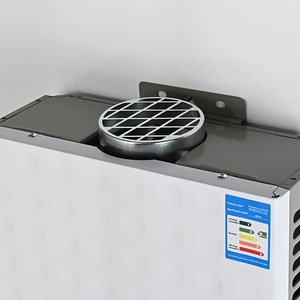 <span class=keywords><strong>Chauffe</strong></span>-<span class=keywords><strong>eau</strong></span> à gaz pour usage domestique GPL/Gaz naturel à tirage forcé mural en cuivre – Haute efficacité énergétique – Vente directe usine - Product Image 2