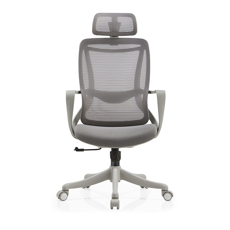 Chairs1สำนักงาน