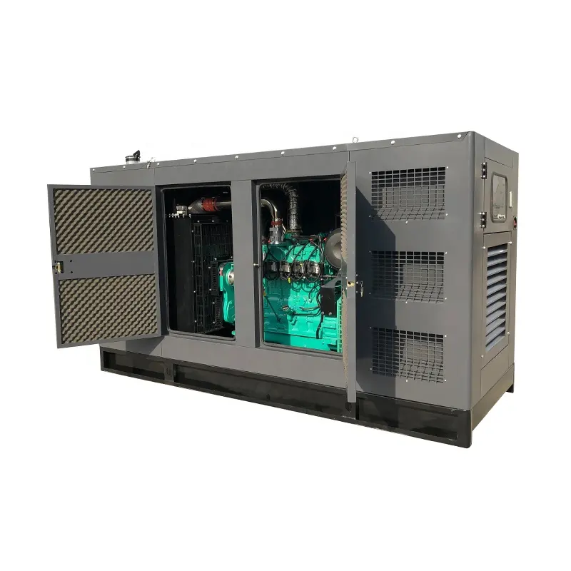 Generatore certificato CE silenzioso 25kva 20 kw alimentato a gas naturale con 4105D-NG