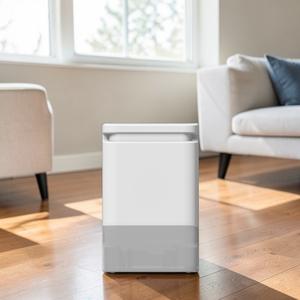 Deshumidificador DDP ISO 9001 con HEPA para Oficina, Tanque de Agua de 2L, Antiolor, Ecológico, 1 Año de Garantía - Product Image 1