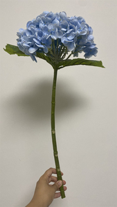 Di alta qualità <span class=keywords><strong>ortensia</strong></span> fiore artificiale in lattice fiori matrimonio grandi petali 196 vero tocco blu <span class=keywords><strong>ortensia</strong></span> per la decorazione domestica - Product Image 6
