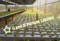 Système hydroponique NFT GN Commercial 100*50mm pour serres agricoles à portée unique
