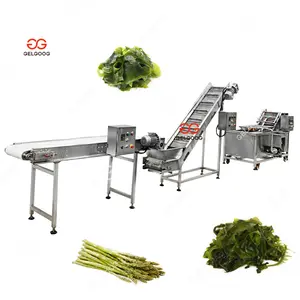 beliebteste bürstenwaschmaschine für asparagus/meeresgemüse automatische bürstenwaschmaschine für gemüse