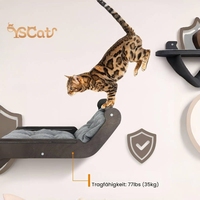 Étagères murales de luxe en bois personnalisées pour chat qui grimpe perchoirs et hamac pour chat mural pour mur