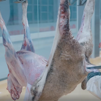 Nouvel équipement d'abattage halal pour chèvres, projet clé en main, ligne d'abattage de moutons, abattoir avec équipement d'abattoir hygiénique