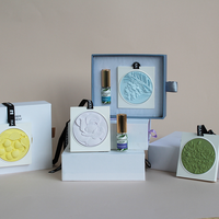 Désodorisant en Pierre de Plâtre OEM/ODM, Coffrets Cadeaux Personnalisés avec Huile Parfumée, Diffuseur de Carte Parfumée pour Voiture