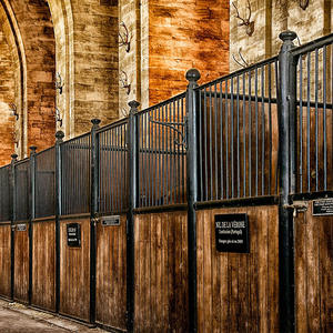 Fronts de stalle de cheval de prix usine avec la finition enduite de poudre 3.6m de large pour l'arène d'équitation professionnelle et la grange de ranch - Product Image 5