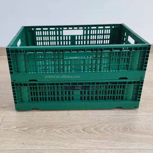 Opvouwbare <span class=keywords><strong>Plastic</strong></span> Doos Voor Opslag Van Groenten En Fruit Voor Vracht En Thuisgebruik - Product Image 4