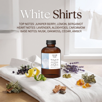 Parfum d'ambiance de luxe aux huiles essentielles pour diffuseur – Solution commerciale d'arôme boisé et frais pour hôtels