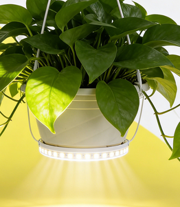 पूर्ण स्पेक्ट्रम के कारण हल्की पट्टी, इनडोर हाइड्रोपोनिक्स, ग्रीनहाउस और घरेलू बागवानी के लिए जलरोधक लचीला संयंत्र प्रकाश टेप - Product Image 4