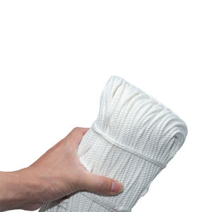 Tali Jaring Ikan Multifilamen <span class=keywords><strong>Nylon</strong></span> PA untuk Jaring Trawl <span class=keywords><strong>3</strong></span>/8''-6'' <span class=keywords><strong>Mesh</strong></span> <span class=keywords><strong>210D</strong></span>/2PLY-60PLY Ketebalan - Product Image 5