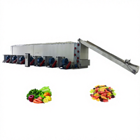 Sécheur à bande continue en acier inoxydable 100-2000 kg/h pour oignons, gingembre et autres aliments, équipement de transformation alimentaire, chauffage au gaz, pompe PLC