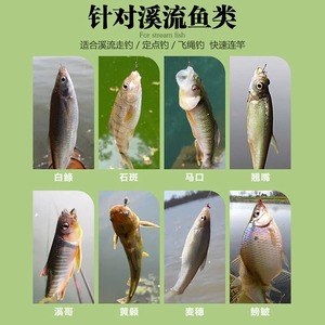 Stream Fishing Bait Pellet 250g Durable Granular For Crucian Carp Chub Whitebait - Product Image 4