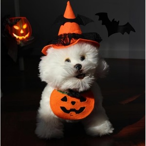 Baberos de Halloween para mascotas con diseño de calabaza y fantasma de dibujos animados, pañuelo elástico con cordón para perros y gatos, accesorio para disfraces de mascotas - Product Image 2