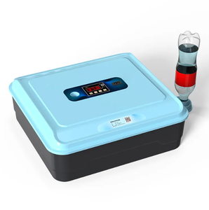 Incubadora de Huevos Totalmente Automática en Venta en los Emiratos Árabes Unidos, para 20, 30, 66 Huevos, 12V 220V - Product Image 6