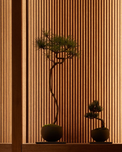 Paneles de Pared de Madera Maciza Impermeables con Diseño Europeo, Anti-Decoloración, Bajo Mantenimiento, Carbón de Bambú para Escuelas, Venta al Por Mayor de Fábrica - Product Image 4